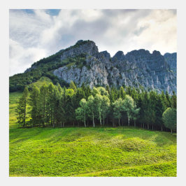 イタリア北部にある松の森の山