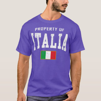イタリア国旗のヴィンテージ動揺してフェード Tシャツ