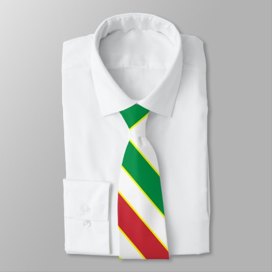 イタリア国旗の色エレガント愛国的なネックタイ ネクタイ (タイ)