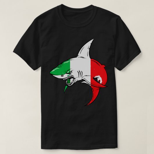 イタリア国旗3 Tシャツ (デザイン正面)
