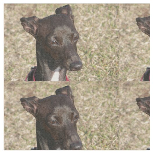 イタリア語greyhound.png ファブリック (クローズアップ)