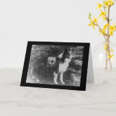 イタリア1909年の赤十字犬 カード (黄色い花)