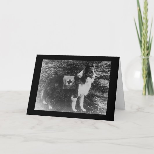 イタリア1909年の赤十字犬 カード (正面)