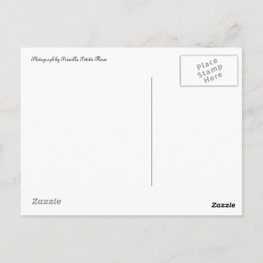 イタリア，アッシジの聖フランシス教会，はがき ポストカード (裏面)