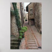 イタリア,アッシジ ポスター (正面)