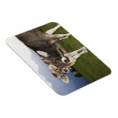 イタリア，アルト・アディゲ マグネット (右側)