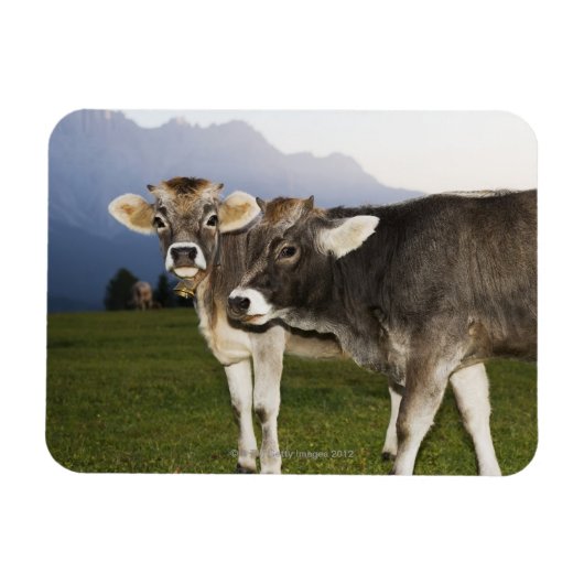 イタリア，アルト・アディゲ マグネット (横)