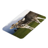 イタリア，アルト・アディゲ マグネット (左側)