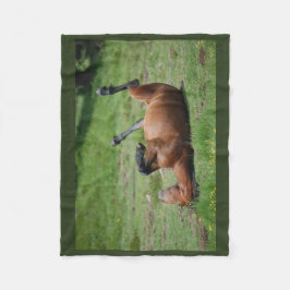 _イタリア_イタリア自然公園_馬を毛布にする フリースブランケット