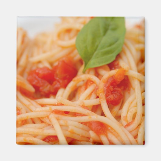 イタリア, オルタ, オルタ湖, トマトスパゲッティ マグネット (正面)