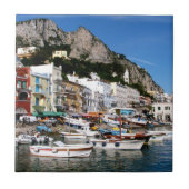 イタリア,カプリ タイル (正面)