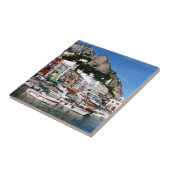 イタリア，カプリ タイル (側面)