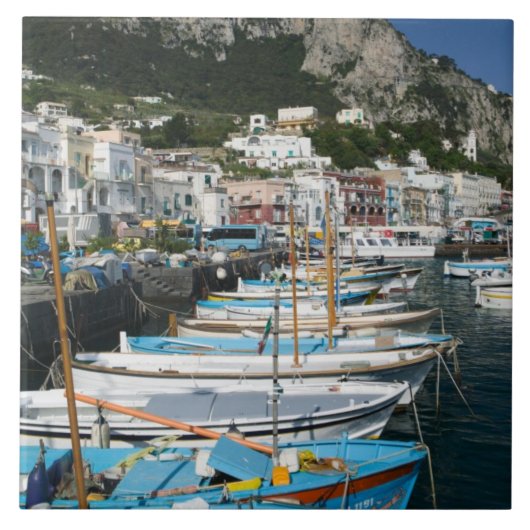 イタリア、カンパニア州、(ナポリ湾)、カプリ島：マリーナ タイル (正面)