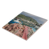 イタリア,カンパニア, (ナポリ湾),イスキア,フォリオ: タイル (側面)