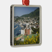 イタリア,カンパニア, (ナポリ湾),イスキア,ラッコ メタルオーナメント (右)