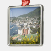 イタリア,カンパニア, (ナポリ湾),イスキア,ラッコ メタルオーナメント (左)