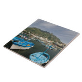 イタリア，カンパニア， （ナポリ湾）, ISCHIA, FORIO: 2 タイル (側面)