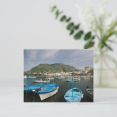 イタリア，カンパニア， （ナポリ湾）, ISCHIA, FORIO: 2 ポストカード (スタンド正面)