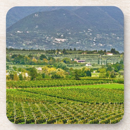 イタリア、ガルダ湖。ガルダ湖の岸辺は コースター (正面)