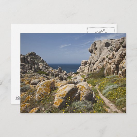 イタリア、サルディニア、サンタテレサガラ。カポ2 シーズンポストカード (正面/裏面)
