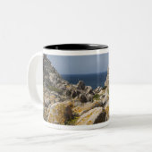 イタリア、サルディニア、サンタテレサガラ。カポ2 ツートーンマグカップ (正面左)