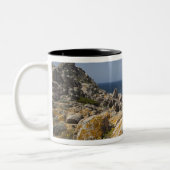 イタリア、サルディニア、サンタテレサガラ。カポ2 ツートーンマグカップ (左)