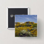 イタリア、サルディニア、サンタテレサガラ。カポ3 缶バッジ (正面&裏面)