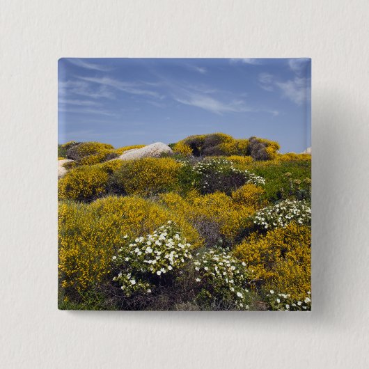 イタリア、サルディニア、サンタテレサガラ。カポ3 缶バッジ (正面)