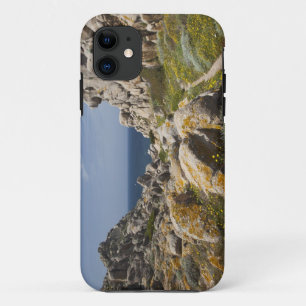 イタリア、サルデーニャ島、サンタ・テレーザ・ガッルーラ。カーポ・テストァ2 iPhone 11 ケース