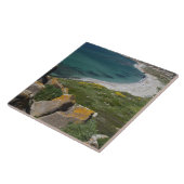 イタリア、サルデーニャ、サロス。ビューからスペインの タイル (側面)