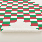 イタリア シェルパブランケット (3/4)