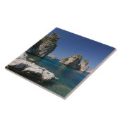 イタリア、シチリア、スコペロ、ロックスバイトンナラ タイル (側面)