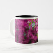 イタリア、シチリア、セファル、フロアードコートヤードバイ ツートーンマグカップ (正面左)