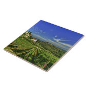 イタリア、タスカニー、グリーブ。 Castelloのブドウ園 タイル (側面)