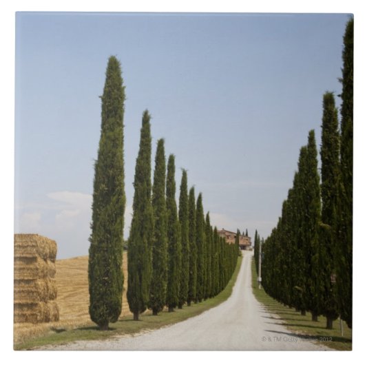 イタリア。 タスカニー。 Val D'Orcia (Orciaの谷) 3 タイル (正面)