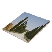 イタリア。 タスカニー。 Val D'Orcia (Orciaの谷) 3 タイル (側面)
