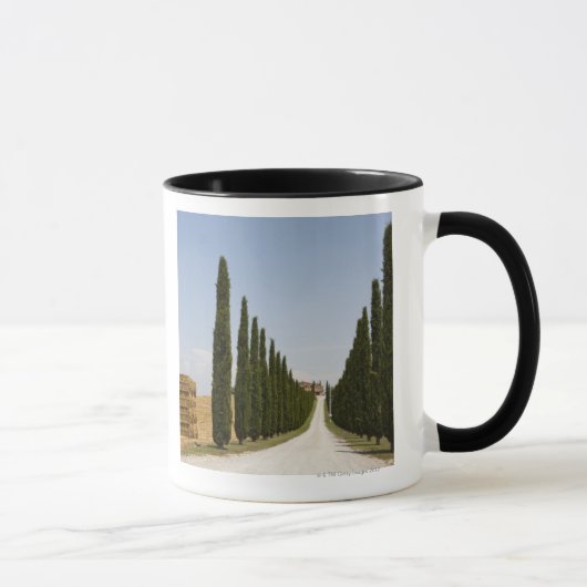 イタリア。 タスカニー。 Val D'Orcia (Orciaの谷) 3 マグカップ (右)