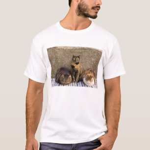 イタリア、チンクエテッレ、ヴェルナッツァ。三匹の猫 Tシャツ