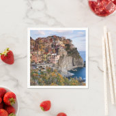 イタリア，チンケ・テール スタンダードカクテルナプキン (インサイチュ)