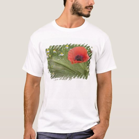 イタリア、トスカーナのヒナゲシの花 Tシャツ (正面)