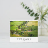 イタリア・トスカーナのヒノキの曲がりくねった道 ポストカード (スタンド正面)