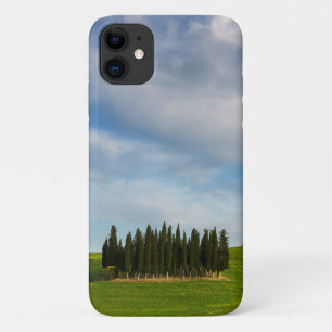 イタリア·トスカーナのヒノキ iPhone 11 ケース