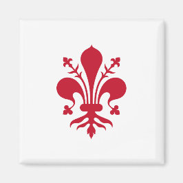 イタリア,トスカーナ州,フィレンツェ国旗を掲げた磁石 マグネット