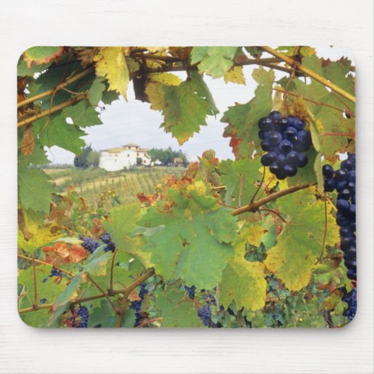 イタリア、トスカーナ農家を通して見る マウスパッド (正面)