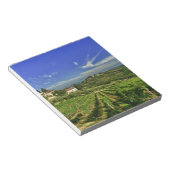 イタリア、トスカーナ、グレブ。カステロのブドウ畑 ノートパッド (アングル)