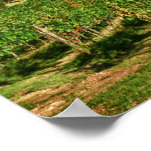 イタリア、トスカーナ、グレブ。カステロのブドウ畑 ポスター (角)