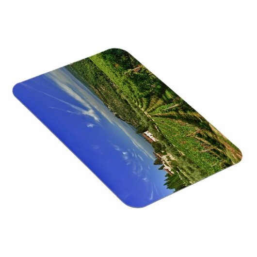 イタリア、トスカーナ、グレブ。カステロのブドウ畑 マグネット (右側)