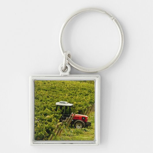 イタリア、トスカーナ、グレーヴェ。ワイン製造中に働く収穫者たち キーホルダー (正面)