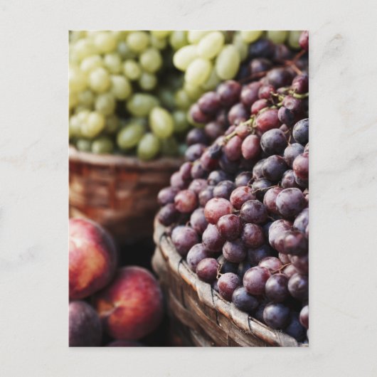 イタリア，トスカーナ，シエナ2 ポストカード (正面)