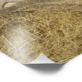 イタリア、トスカーナ、トスカーナのヴィラ春。2 フォトプリント            (角)